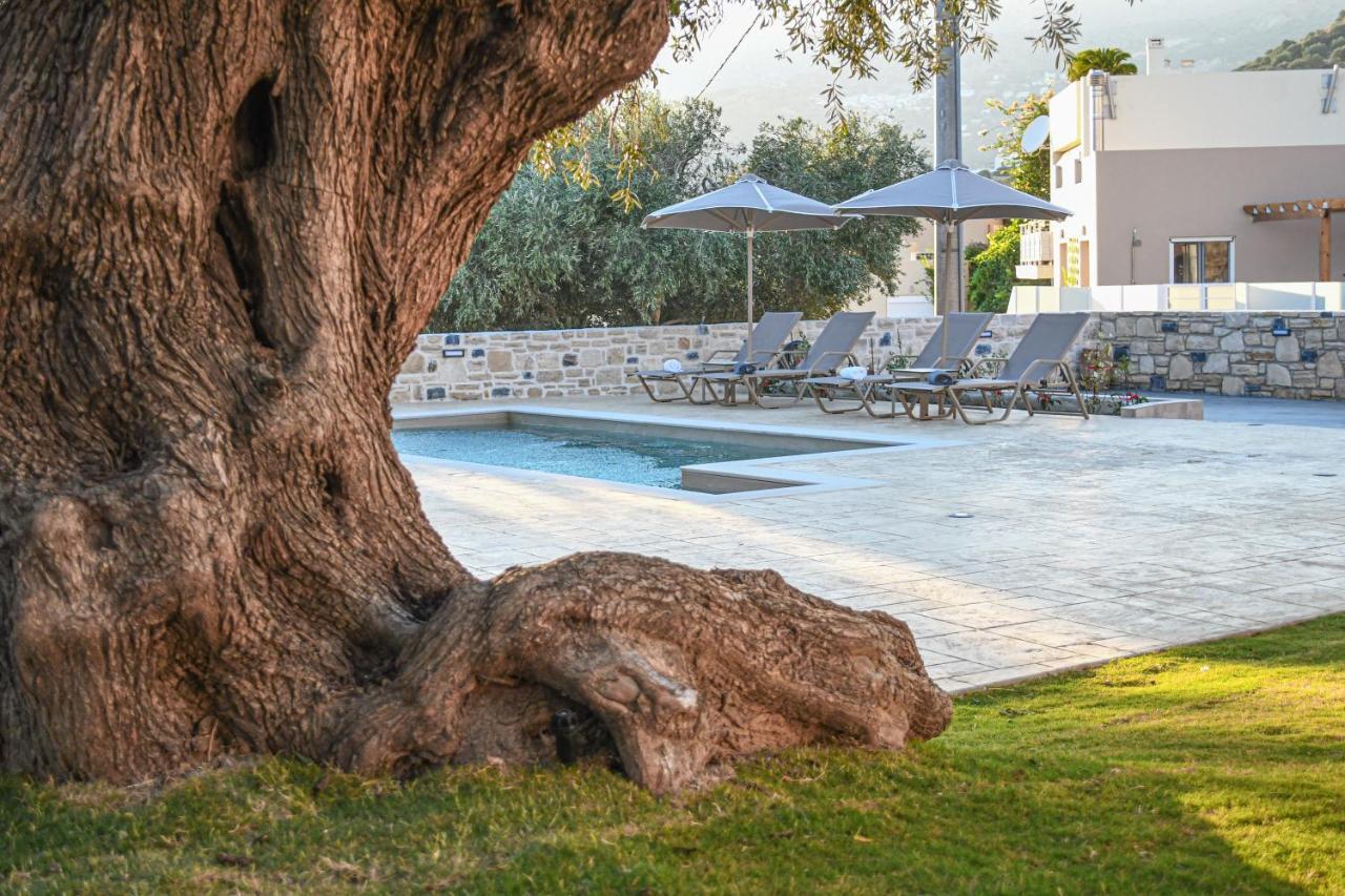 Paul's Villa